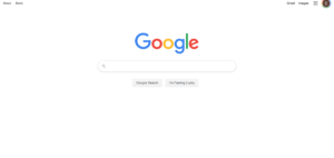 Google's homepage is uncluttered and filled white space. Customers are able to get exactly where they need to go. 